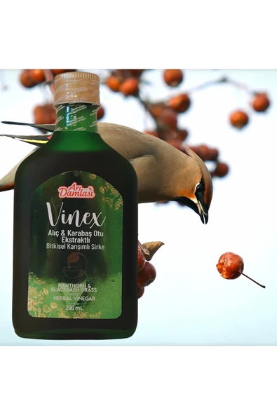 Alıç Karabaş Otu Ekstraktlı Bitkisel Karışımlı Sirke 200 ML - Resim 5