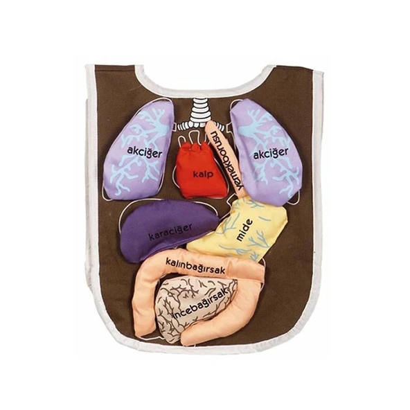 TOYZ DÜKKANIM AND-5011 Organ Önlüğü Organlar cırt bantlı Kız Erkek Çocuk Oyuncak Eğitici Oyuncaklar - 1