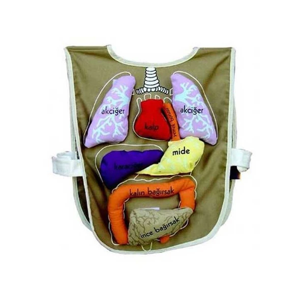 TOYZ DÜKKANIM AND-5011 Organ Önlüğü Organlar cırt bantlı Kız Erkek Çocuk Oyuncak Eğitici Oyuncaklar - 2