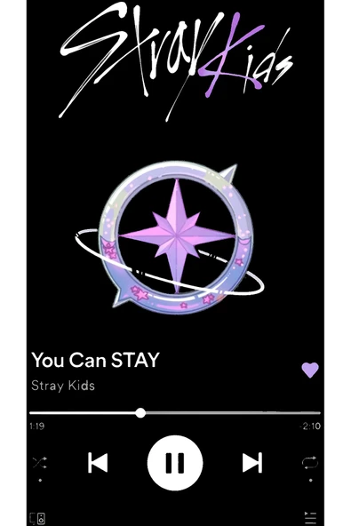 Stray Kids, You Can Stay, K-Pop Unisex Siyah %100 Pamuk Siyah Kapüşonlu Sweatshirt - 2