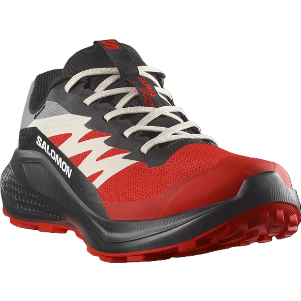 Salomon ALPHAGLIDE GORE-TEX Erkek Ayakkabısı L47975200 - Resim 3