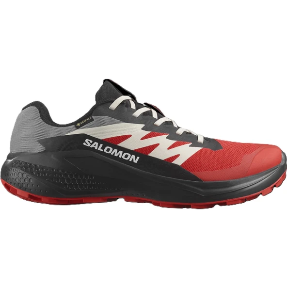 Salomon ALPHAGLIDE GORE-TEX Erkek Ayakkabısı L47975200 ürün görseli 1
