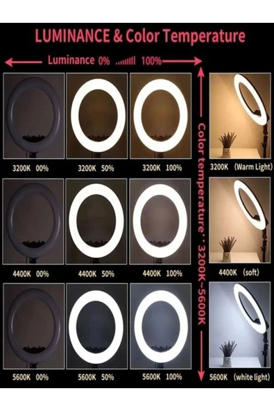 DEANB Alüminyum Alaşım 3D AR Panaromik 56cm 360° Dönen Kumandalı LED Fotoğraf Video Çekim Işığı - 2