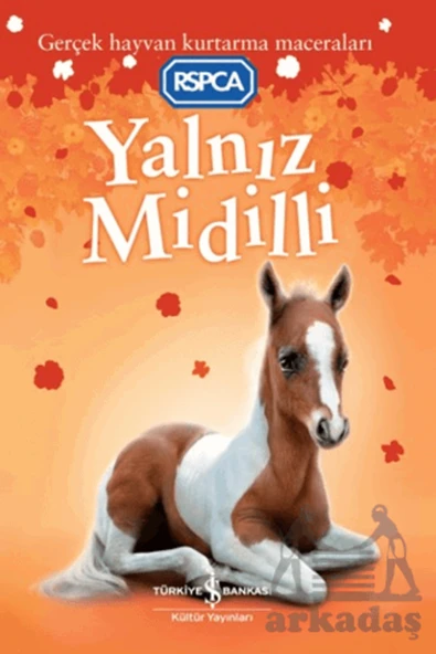Yalnız Midilli ürün görseli 1
