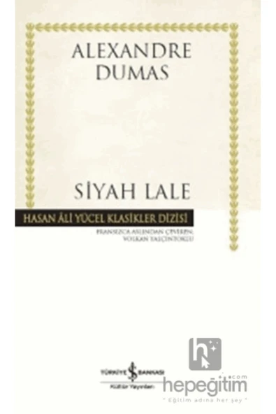 Siyah Lale - Resim 2