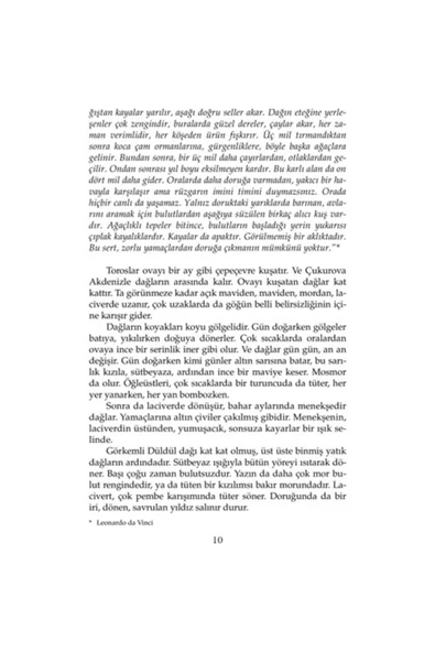 İnce Memed - 1 Yaşar Kemal, - Yaşar Kemal - Resim 5