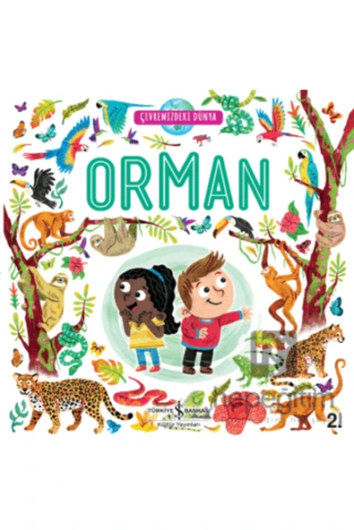 Orman - Çevremizdeki Dünya - Resim 2