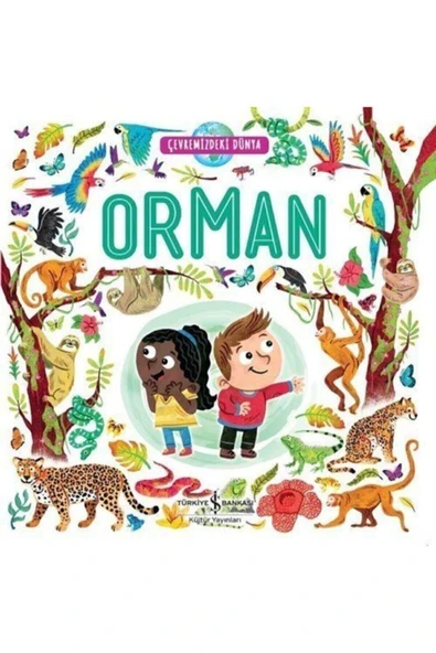 Orman - Çevremizdeki Dünya ürün görseli 1