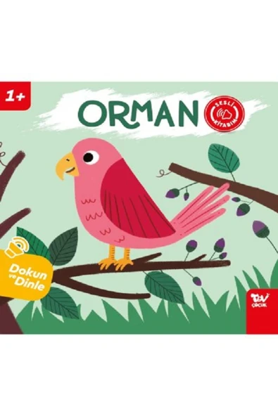 Dokun Ve Dinle Sesli Kitabım Orman - Türkiye Diyanet Vakfı Yayınları ürün görseli 1