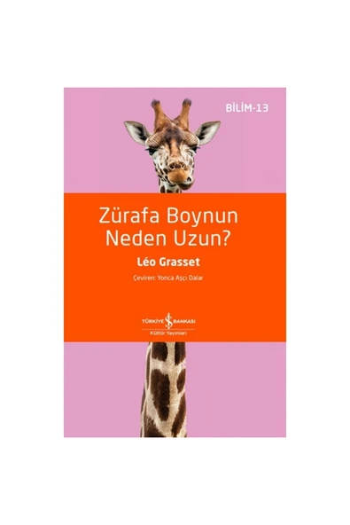 Zürafa Boynun Neden Uzun? - Bilim 13 ürün görseli 1