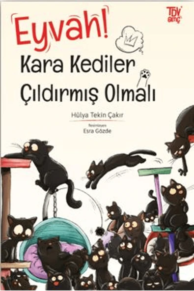 Eyvah Kara Kediler Çıldırmış Olmalı / Türkiye Diyanet Vakfı Yayınları / 9786254286667 ürün görseli 1