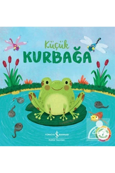 Küçük Kurbağa ürün görseli 1