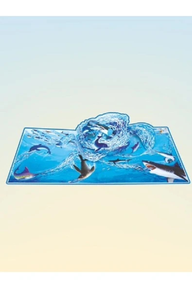 Hayvanlar Alemi Okyanus - Türkiye Diyanet Vakfı Yayınları - Resim 2