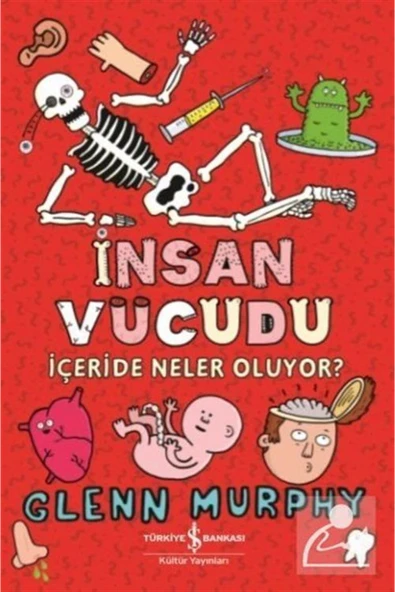 İnsan Vücudu / İçeride Neler Oluyor? ürün görseli 1