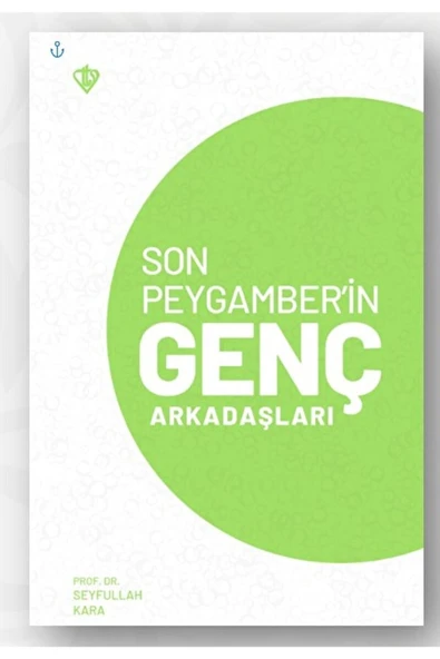 Son Peygamber’in Genç Arkadaşları / Seyfullah Kara / / 9786 ürün görseli 1