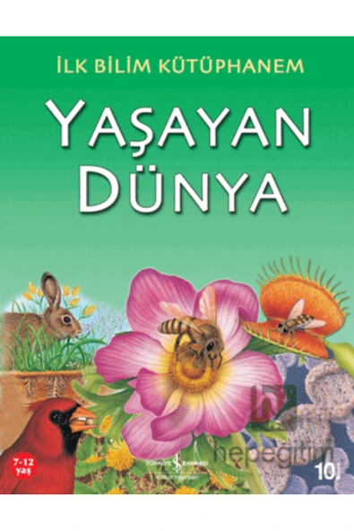 Yaşayan Dünya - Resim 2