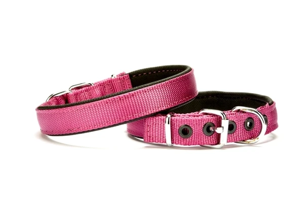 Softlu Köpek Boyun Tasması 2 cm x 40 cm Mor - 1