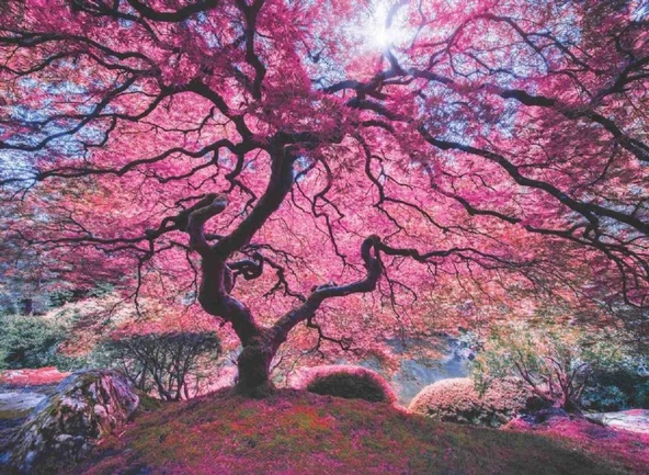 Anatolian 1000 Parça Pink Tree Puzzle