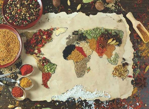 Anatolian 1000 Parça Puzzle Baharatlı Dünya Haritası (Herbal World Map)