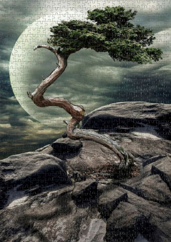 Nova 1000 Parça Doğanın Mucizesi Puzzle - Resim 3