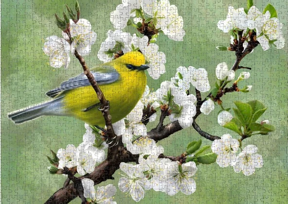 Nova 1000 Parça Baharın Habercisi Puzzle - Resim 3