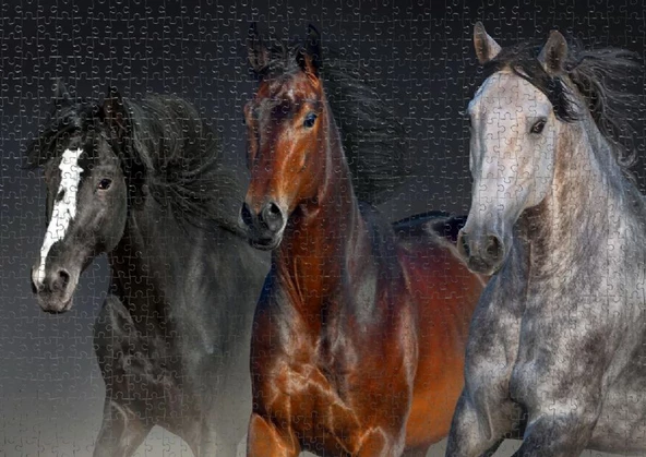 Nova 1000 Parça Üç Asil Yürek Puzzle - Resim 3