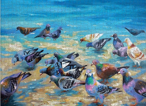 Nova 1000 Parça Plaj Güvercinleri Puzzle - Nikolay Sivenkov - Resim 3