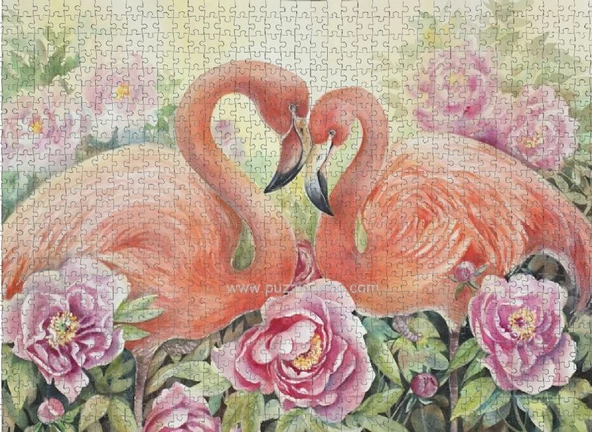 Nova 41104 İki Aşık Flamingo Puzzle - 1000 Parçalı - Resim 3