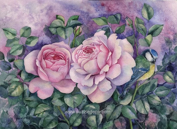 Nova 1000 Parça İki Pembe Gül Puzzle - Tatiana Plovetskaya