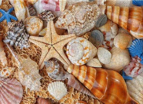 Nova Puzzle Kumsaldan Bana Kalanlar 1000 Parça Puzzle - Resim 3