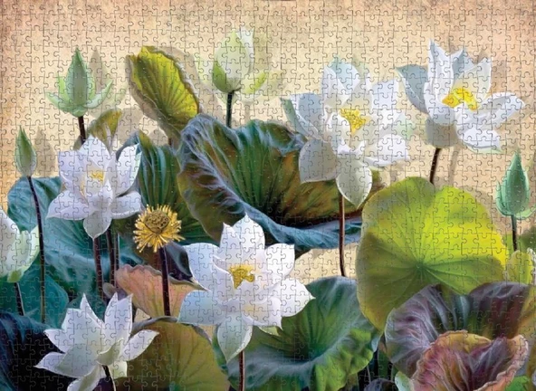 Nova Puzzle 1000 Parça Beyaz Nilüfer Çiçekleri Puzzle - 3