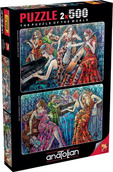 Anatolian 2x500 Parça Renkli Notalar Puzzle - 3