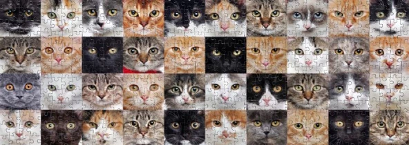 Nova Puzzle 1000 Parça Sevimli Kediler Kolajı Panorama Puzzle - Resim 3