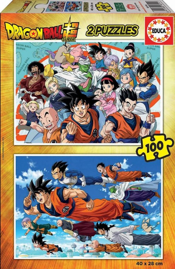 Educa 2x100 Parça Dragon Ball Z Erkek Çocuk Puzzle