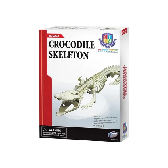 Eğitici Oyuncak Timsah İskeleti Bilim Seti - Resim 2