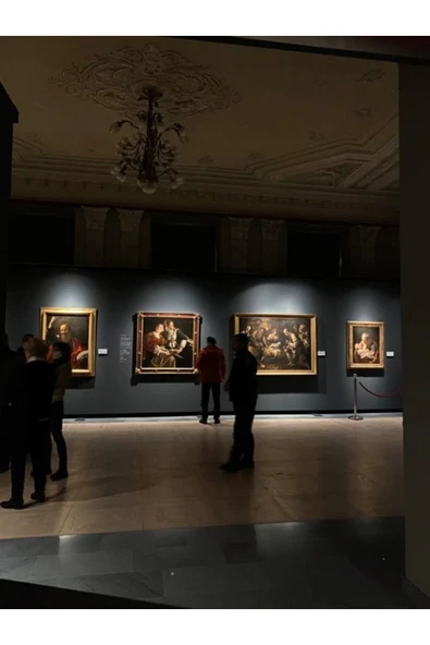 SİYACF 48 CM X 1 METRE SANAT KOLEKSİYONLARINA ÖZEL PREMİUM TABLO KORUYUCU PPF - 8