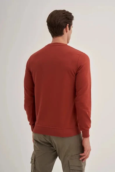 Cazador Slim Fit Mevsimlik 3 İplik Pamuk Karışımlı Sweatshirt-56100 - Resim 3