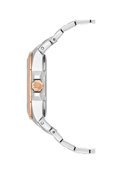 Nc28-392322-esm Nacar Kadın Kol Saati Gri - Resim 4