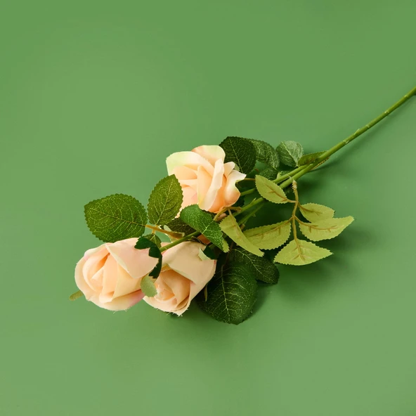 Time Üç Başlı Gül - Asorti - 30 cm - Resim 2