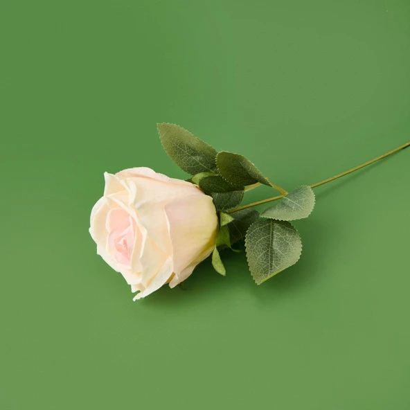 Time Dal Gül - Asorti - 30 cm - Resim 2