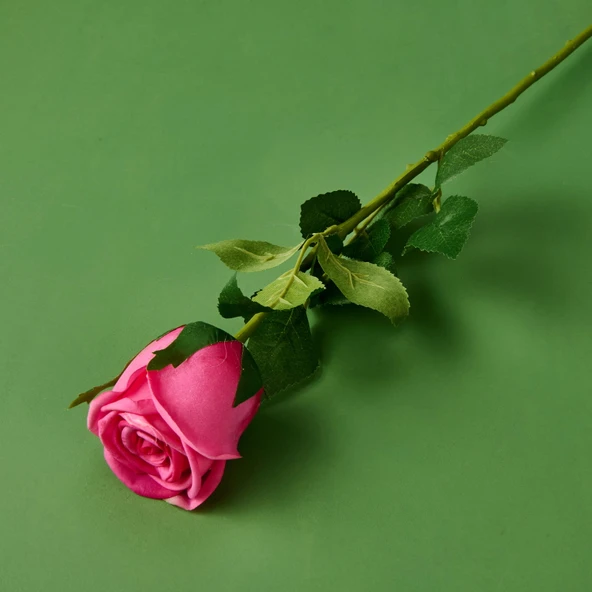 Time Islak Gül Dalı - Asorti - 50 cm - Resim 2