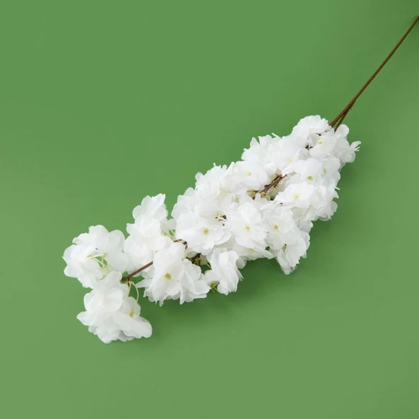 Time Sakura Dal Çiçek - Asorti - 90 cm - Resim 2