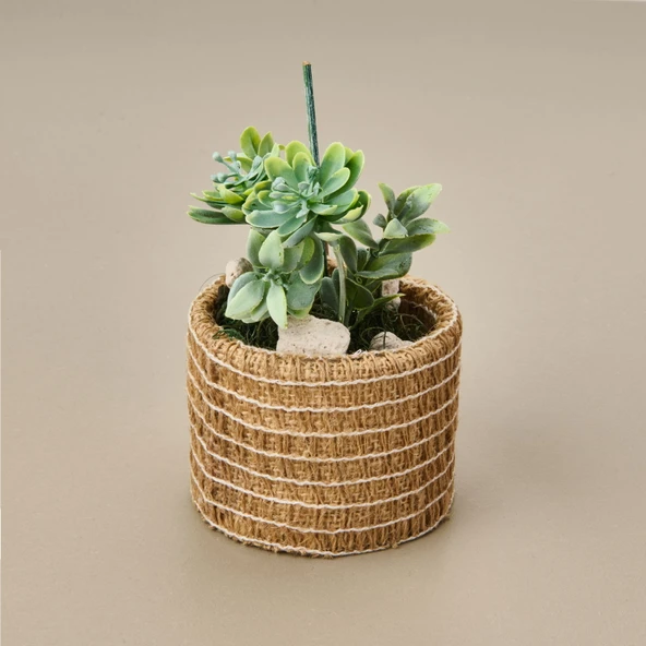 Natürel Çiçek - Asorti - 15 cm - Resim 2