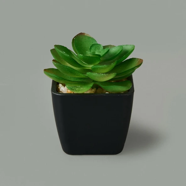 Mini Saksıda Yapay Çiçek - Asorti - 11x5 cm - Resim 3