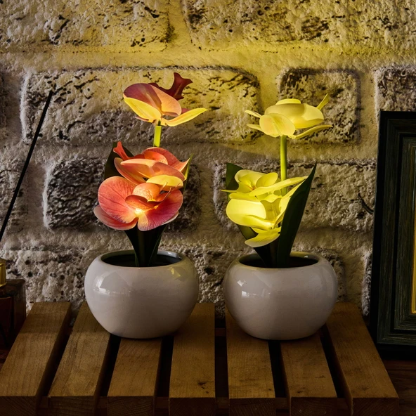 Saksıda Ledli Orkide - Asorti - 25x9 cm - Resim 2