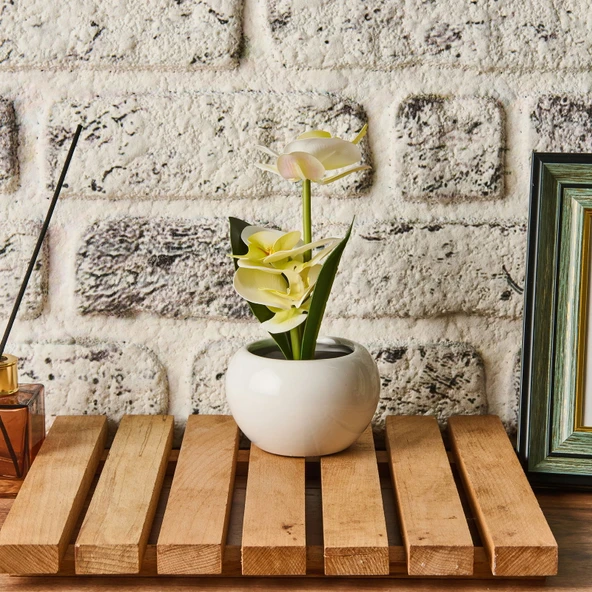 Saksıda Ledli Orkide - Asorti - 25x9 cm - Resim 3