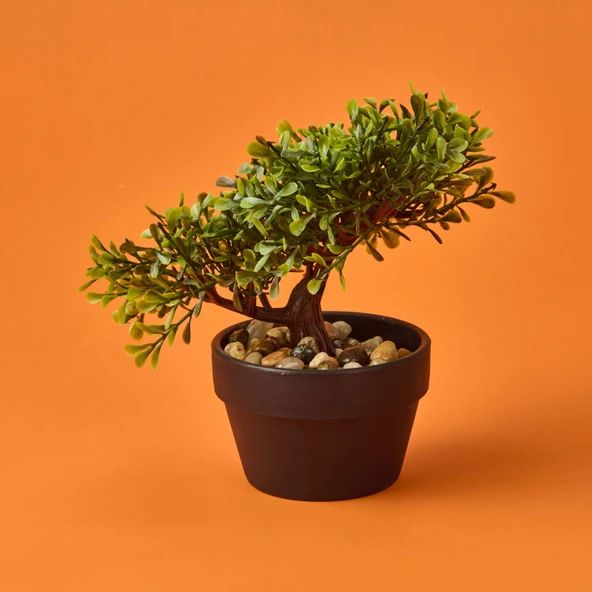 Bonsai Çiçek - Asorti - 19 cm - Resim 2