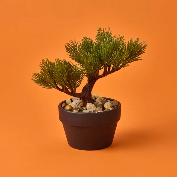 Bonsai Çiçek - Asorti - 19 cm ürün görseli