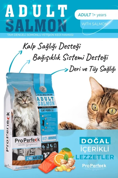 PREMİUM YETİŞKİN SOMONLU PORTAKALLI KEDİ MAMASI 10 KG - 2