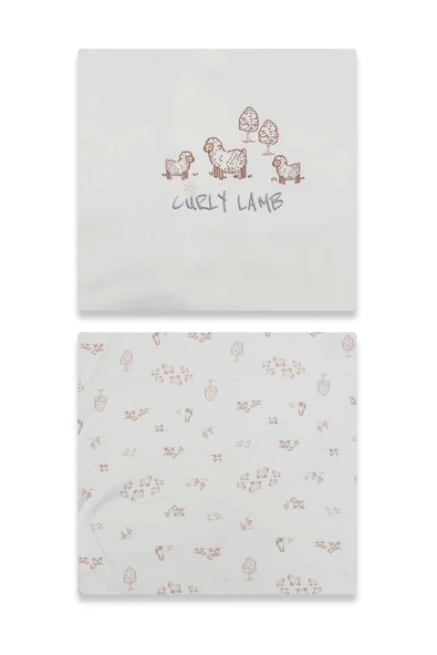 Bistyle Curly Lamb 10'lu Hastane Çıkışı 11106 Bej Mavi Ekru - 2